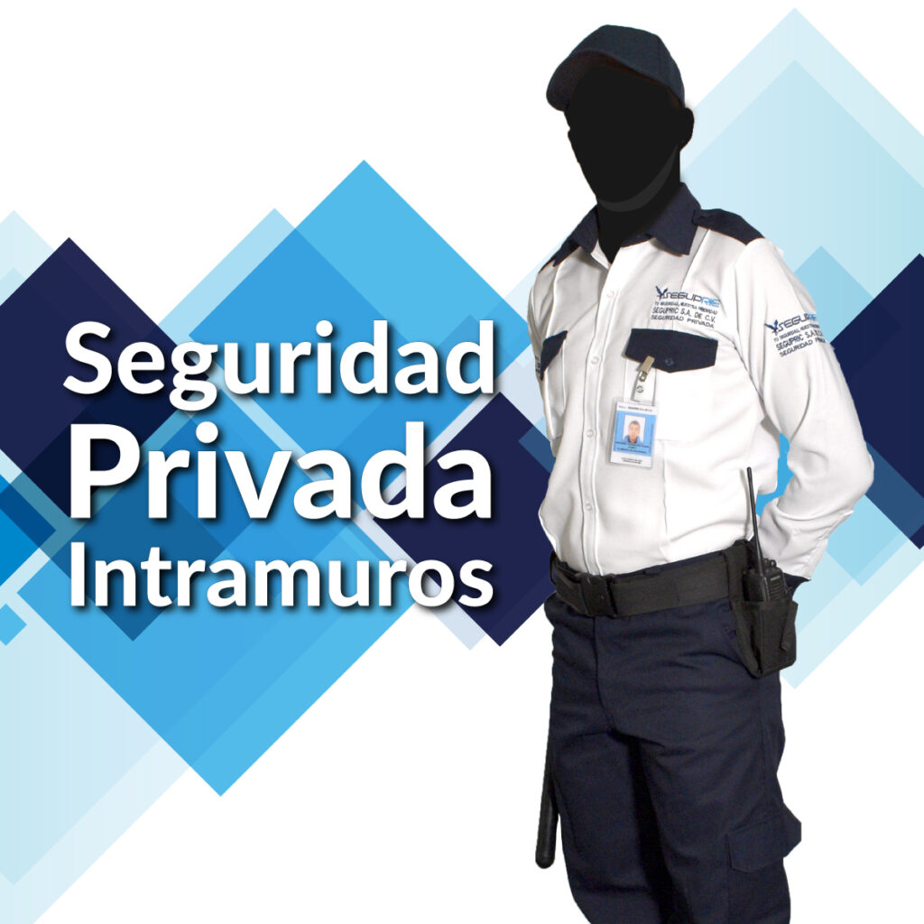 Seguridad privada intramuros